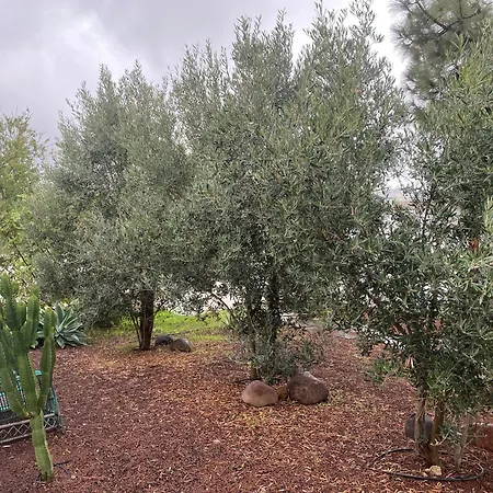 Villa Tres Olivos Las Palmas de Gran Canaria